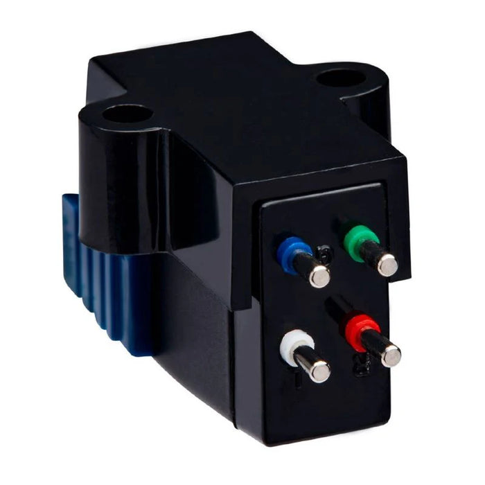 SUMIKO TESTINA OYSTER