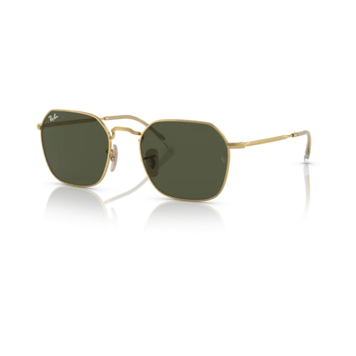 RAY-BAN SOLE 3694 001/31 53