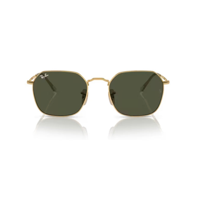 RAY-BAN SOLE 3694 001/31 53