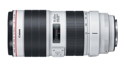 CANON EF 70-200MM F2.8 L IS III USM - Grande Marvin