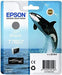 EPSON CARTUCCIA T7607 L.BLACK - Grande Marvin